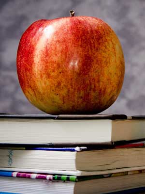 免费ddos压力测试平台