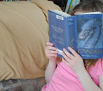 全天自动发货的DDOS压力测试